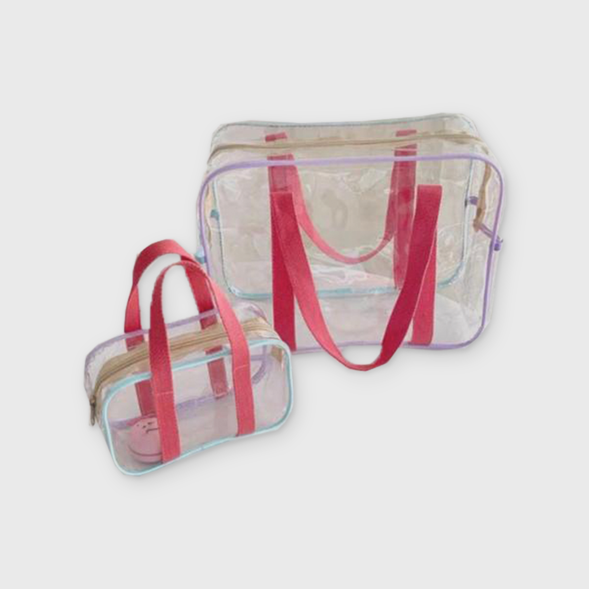 Transparent Handbag