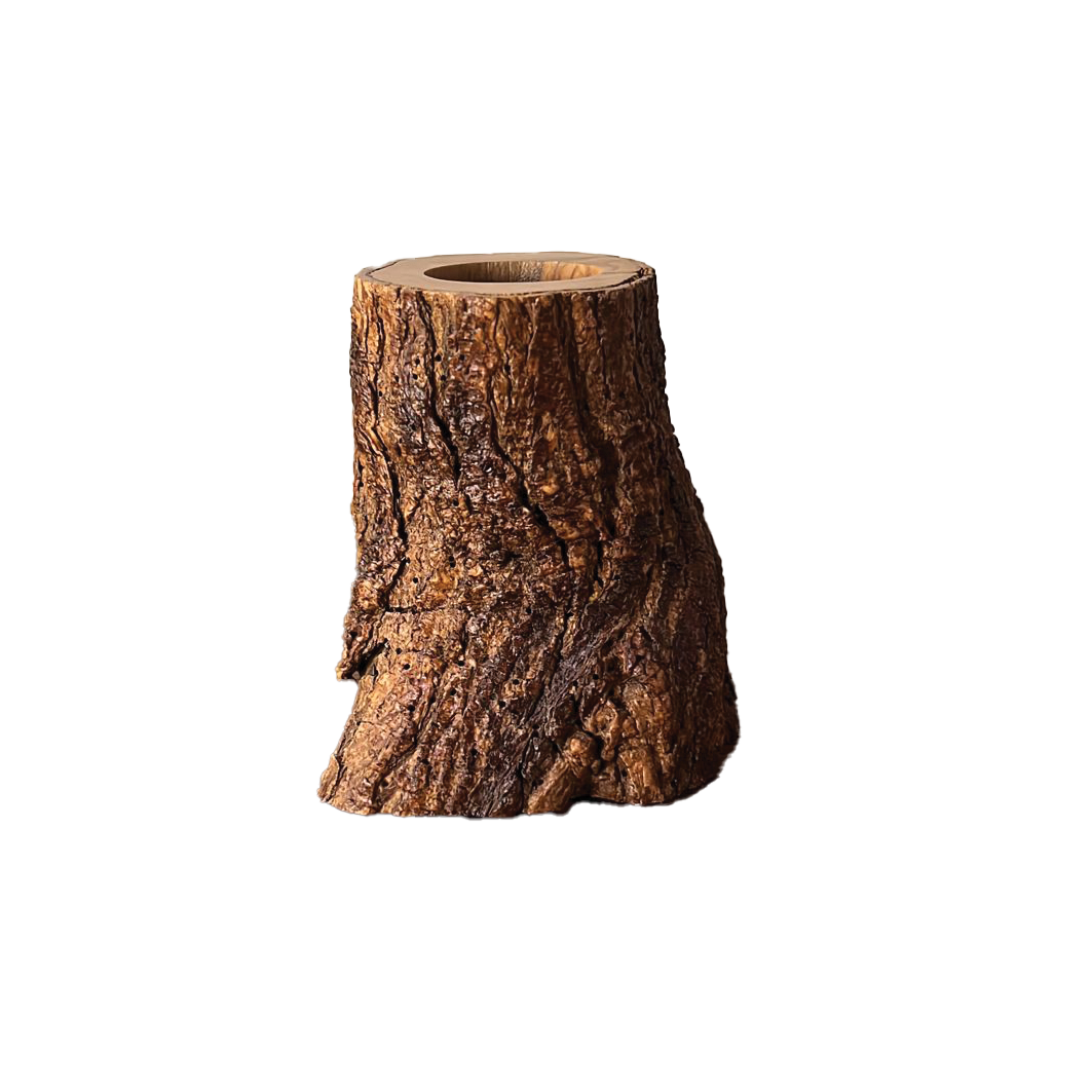 Eco - Friendly Pen Holder