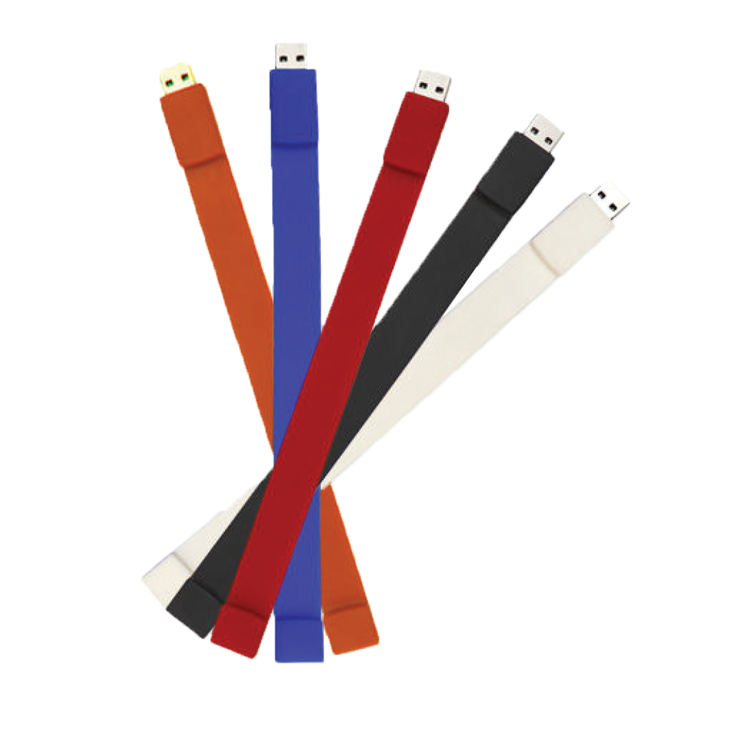 Wrist Silicon Flash Memory