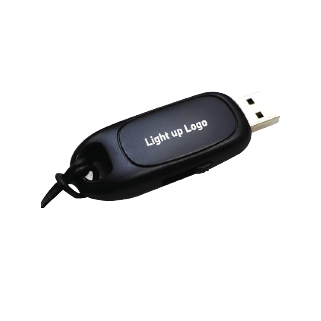 Light Up Bulk Flash Memory