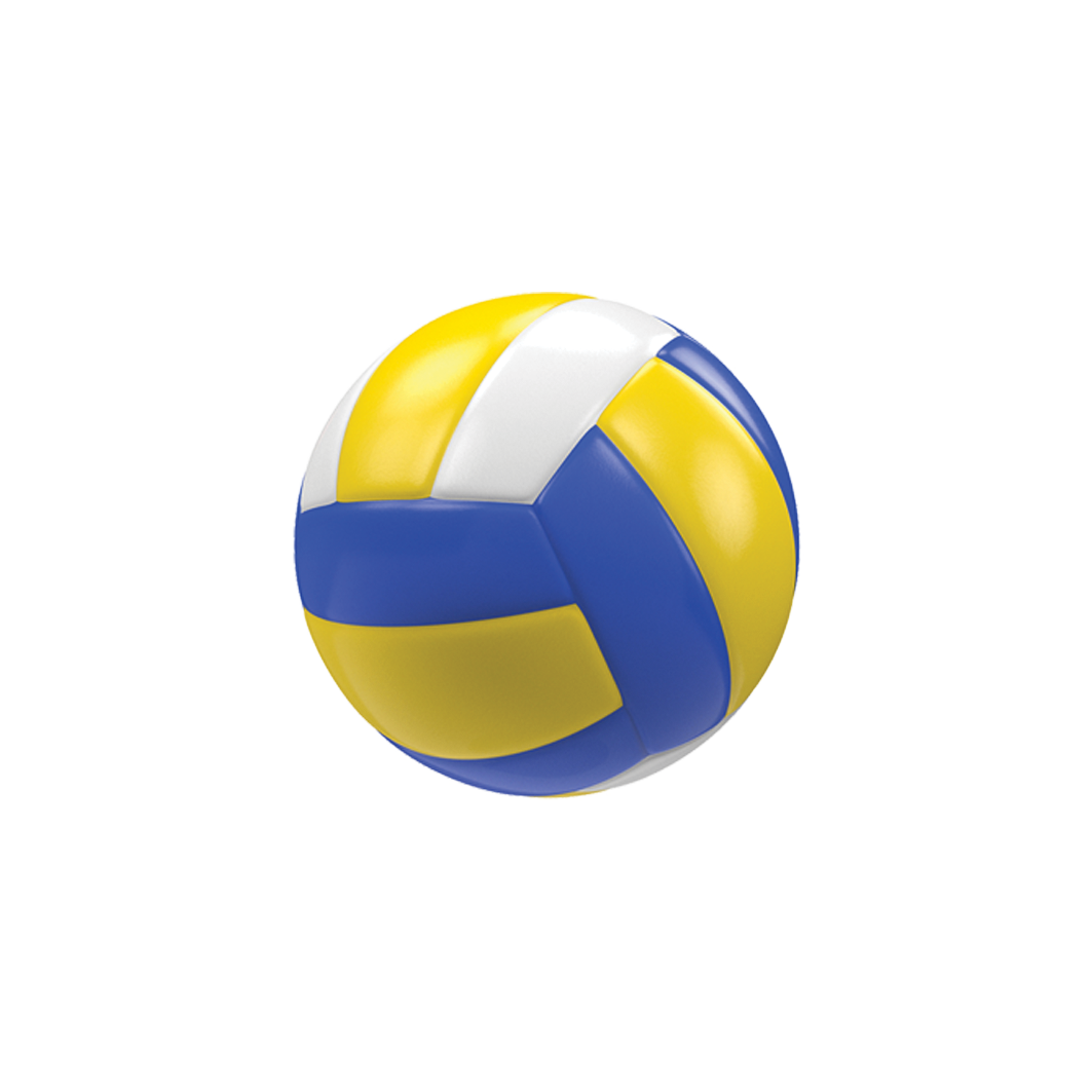 Volley Ball