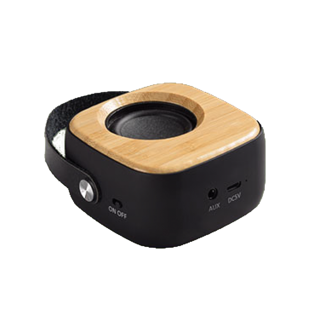 Wood Hang Speaker