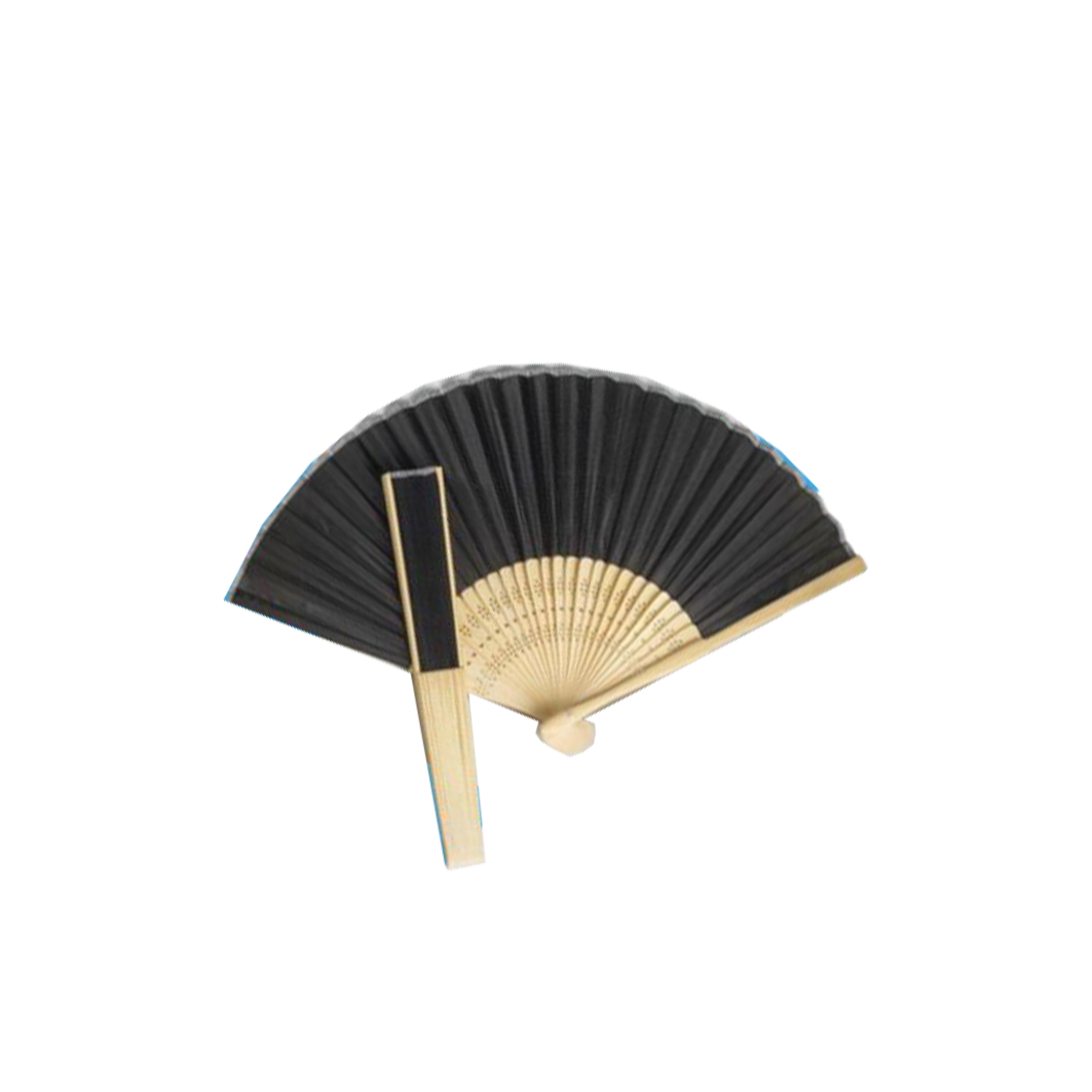 Hand Fan