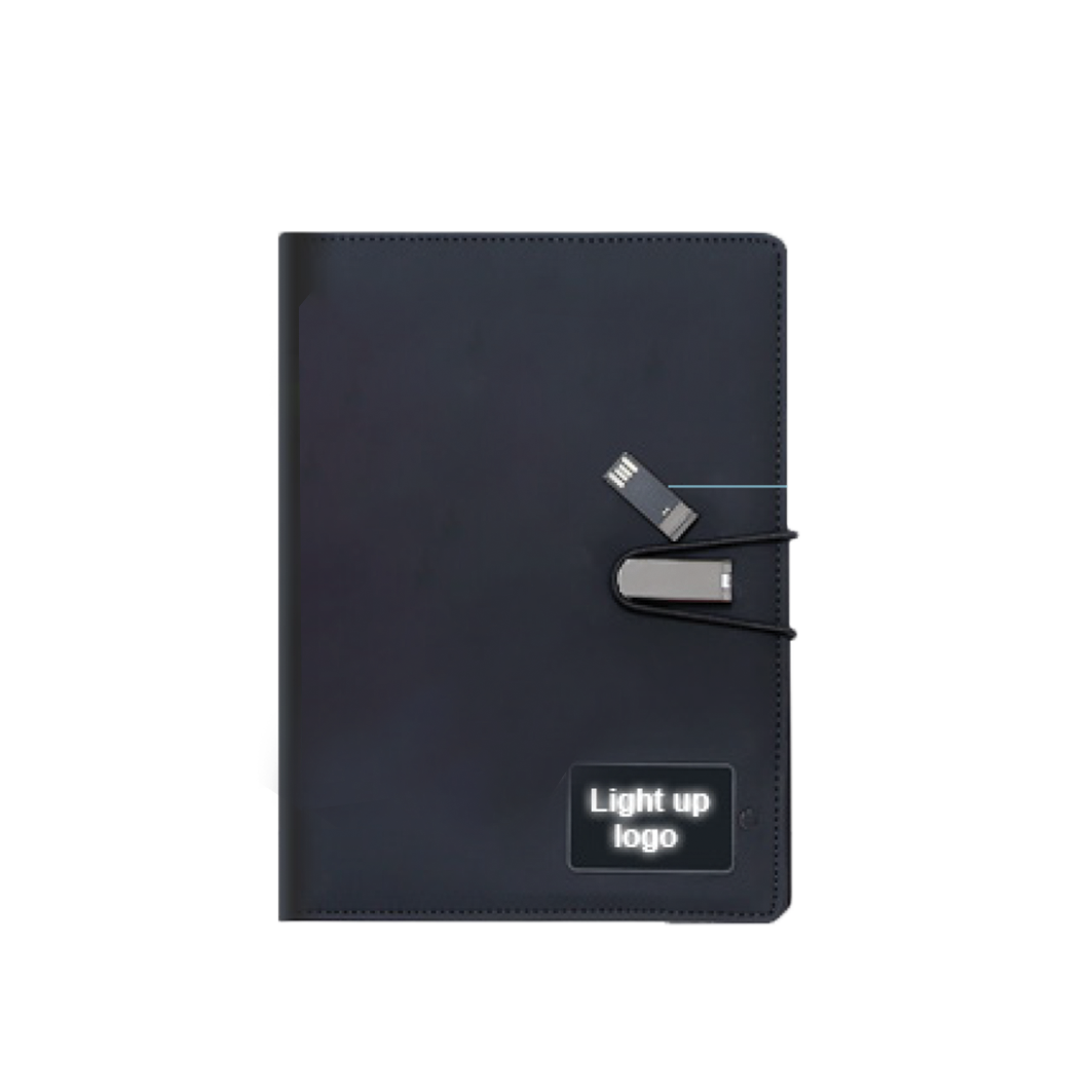 Light-Up Logo (32 Gb)